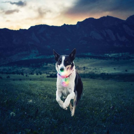 СВЕТОДИОДНЫЙ МЯЧ GLOWSTREAK®