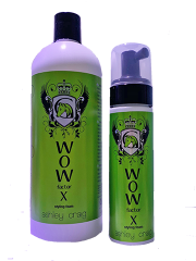 WOW X Styling Foam for Volume and Hold - ПЕНКА ASHLEY CRAIG