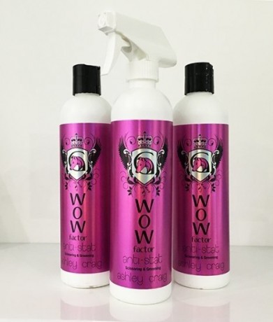 Anti Stat - Grooming & Scissoring Spray - АНТИСТАТИК ASHLEY CRAIG