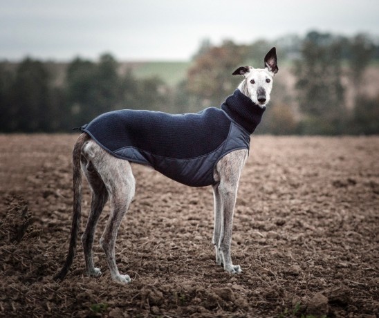 Трикотажный жилет