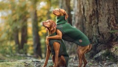 Трикотажный жилет