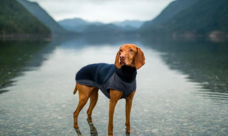 Трикотажный жилет