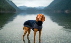 Трикотажный жилет