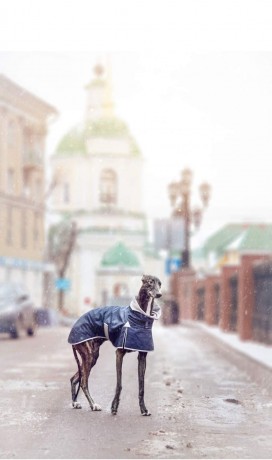 КУРТКА СЛЕДОПЫТОВ ДОЖДЯ