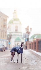 КУРТКА СЛЕДОПЫТОВ ДОЖДЯ