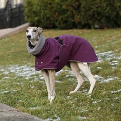 Зимняя попона WINTER фиолетовая