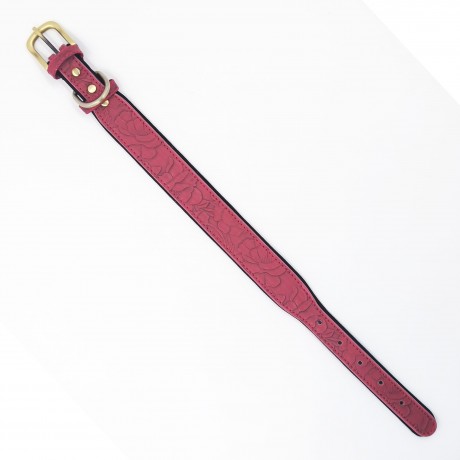 Широкий ошейник для собак средних и крупных пород. Обхват шеи 34 - 44 см, ширина 3,5 см