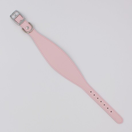 Ошейник-селедка матовый для собак. Обхват шеи 28-36 см, ширина 5 см