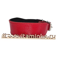 Кожанный ошейник для такс