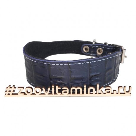 Кожанный ошейник для такс