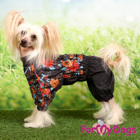 ДОЖДЕВИК ЧЕРНЫЙ ДЛЯ ДЕВОЧЕК