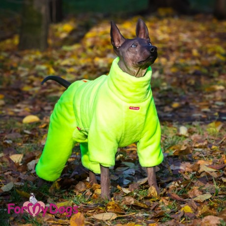 КОМБИНЕЗОН ЛАЙМ ДЛЯ МАЛЬЧИКОВ