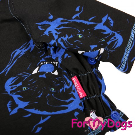 ТОЛСТОВКА ЧЕРНАЯ