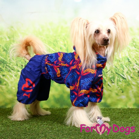 ДОЖДЕВИК СИНЕ-РОЗОВЫЙ ДЛЯ ДЕВОЧЕК