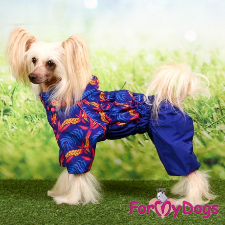 ДОЖДЕВИК СИНЕ-РОЗОВЫЙ ДЛЯ ДЕВОЧЕК