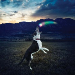 СВЕТОДИОДНЫЙ МЯЧ GLOWSTREAK®