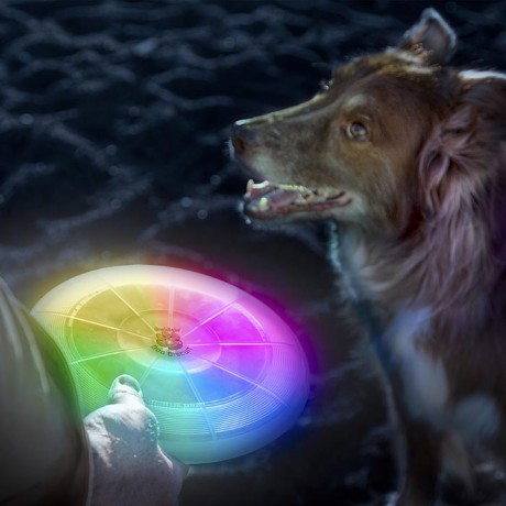 СВЕТОДИОДНЫЙ ДИСК FLASHFLIGHT® DOG DISCUIT™