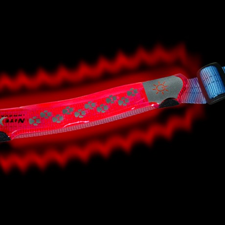 СВЕТОДИОДНАЯ НАКЛАДКА НА ОШЕЙНИК NITE DAWG®