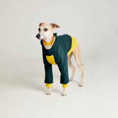 Толстовка для собак темно-зеленая с желтым TANKER BASE BOTTLE GREEN