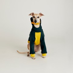 Толстовка для собак темно-зеленая с желтым TANKER BASE BOTTLE GREEN