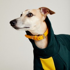 Толстовка для собак темно-зеленая с желтым TANKER BASE BOTTLE GREEN