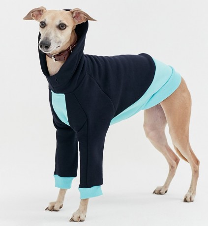 Толстовка для собак из хлопка темно-синяя с голубым TANKER BASE MINT BLUE