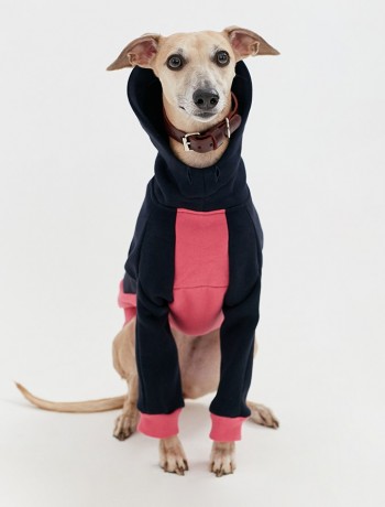 Толстовка для собак темно-синяя с розовым TANKER BASE WINTER ROSE