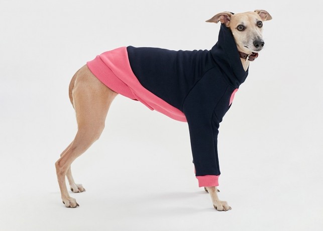 Толстовка для собак темно-синяя с розовым TANKER BASE WINTER ROSE