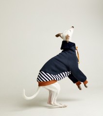 Толстовка для собак темно-синяя с полосками  TANKER BASE MARINE