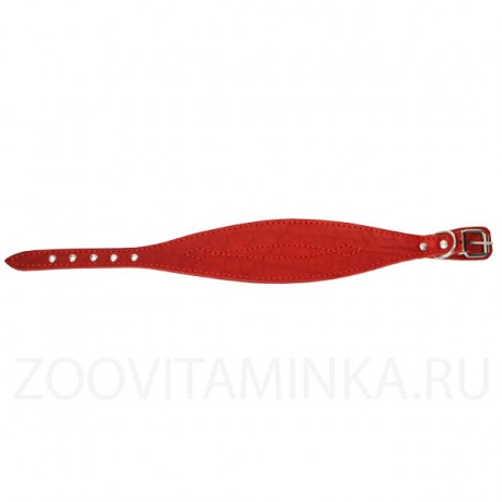 Кожаный ошейник "селедка" для уиппетов