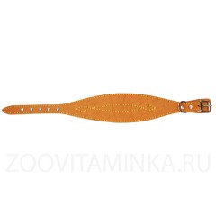 Кожаный ошейник &quot;селедка&quot; для уиппетов