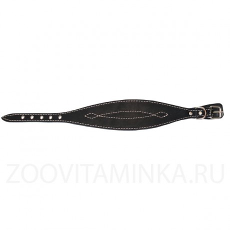 Кожаный ошейник "селедка" для уиппетов