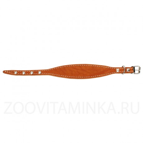 Кожаный ошейник "селедка" 28 см