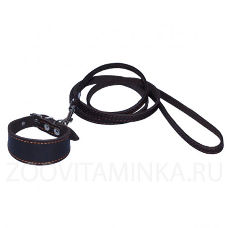 Кожаный поводок