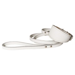 Набор: ошейник селедка+поводок