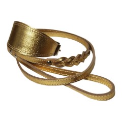 Набор: ошейник селедка+поводок