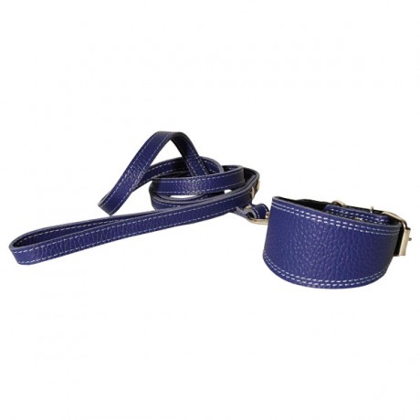 Набор: ошейник селедка+поводок