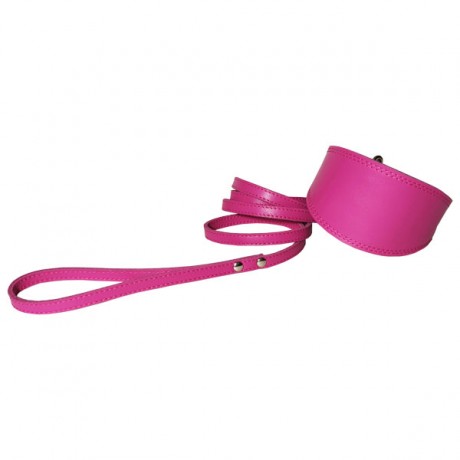 Набор: ошейник селедка+поводок