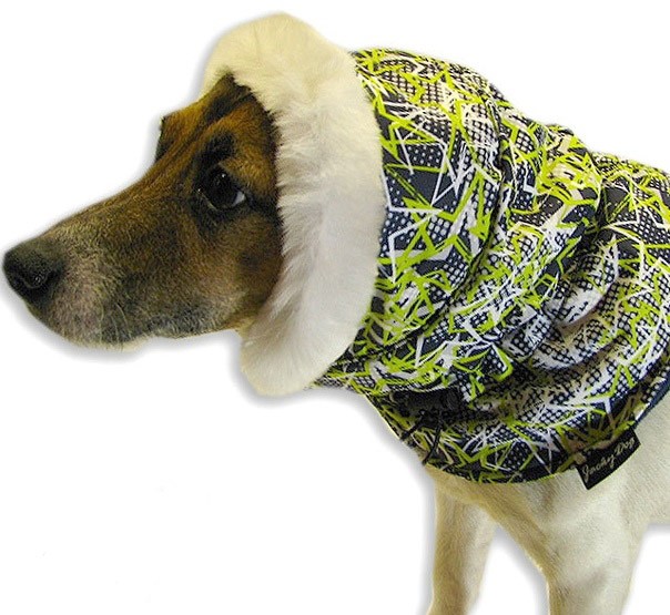 Одежда для маленьких собак - купить в интернет-магазине