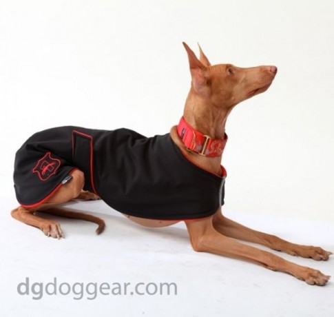 Попона Basic Jaket