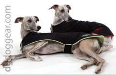 Попона Basic Jaket